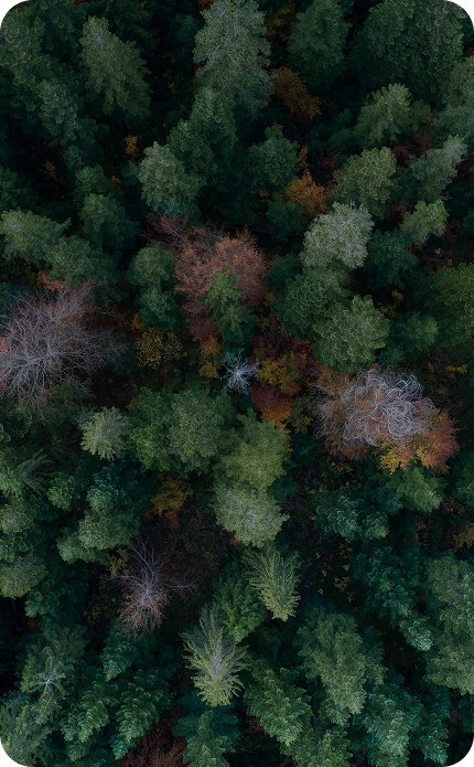 기후변화 대응<br>솔루션 개발